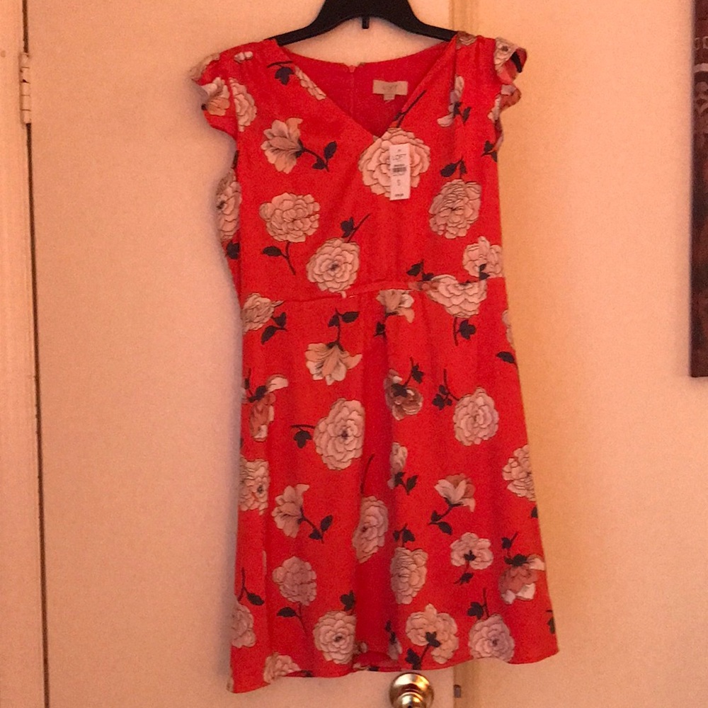 NWT! Loft Floral Dress